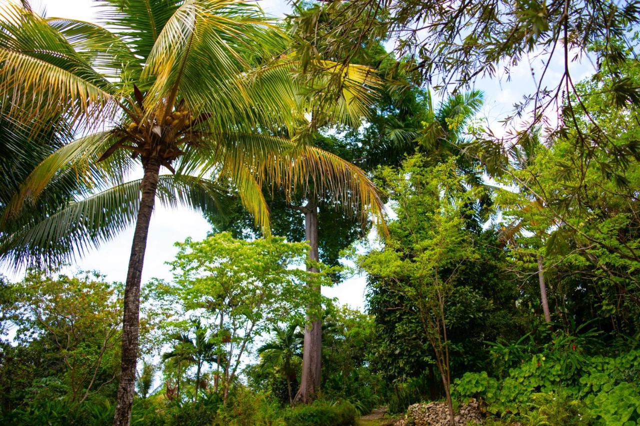 M Hotel Port Antonio Kültér fotó